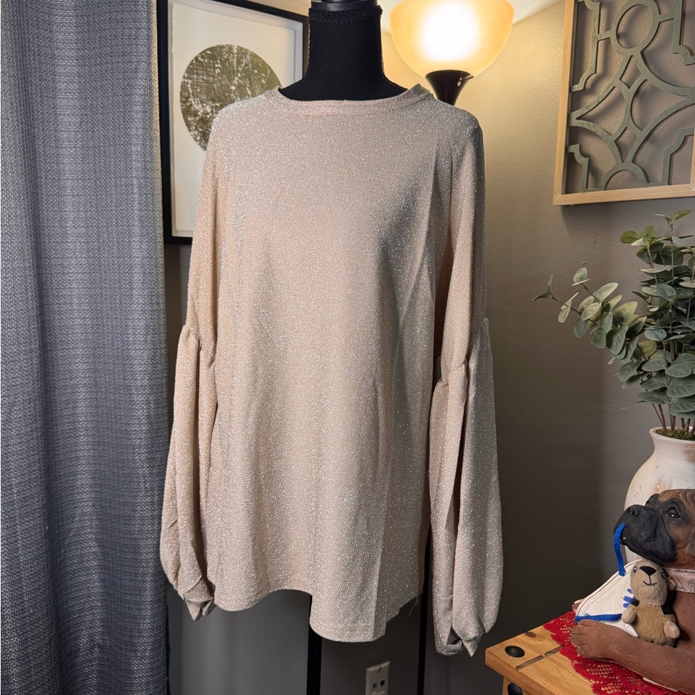 Hayden Los Angeles Beige Tunic Top with Unique Sleeves